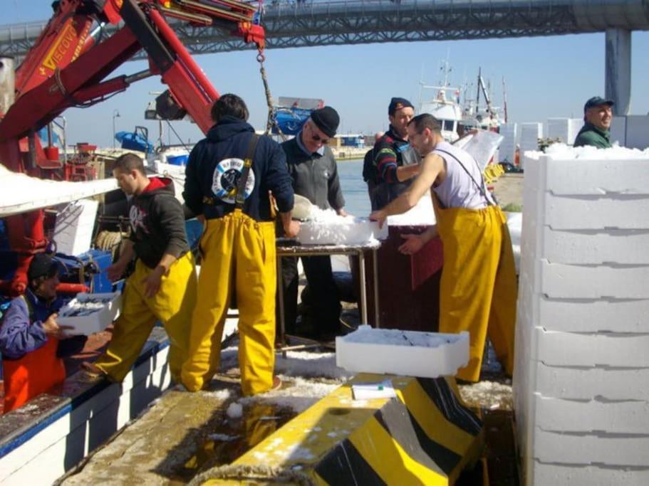 Casa Di Pipo - Appartamento Davanti Al Mare Pescara Bagian luar foto